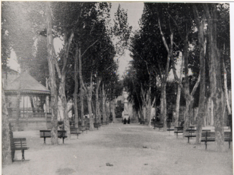 ALAMEDA DE COLÓN