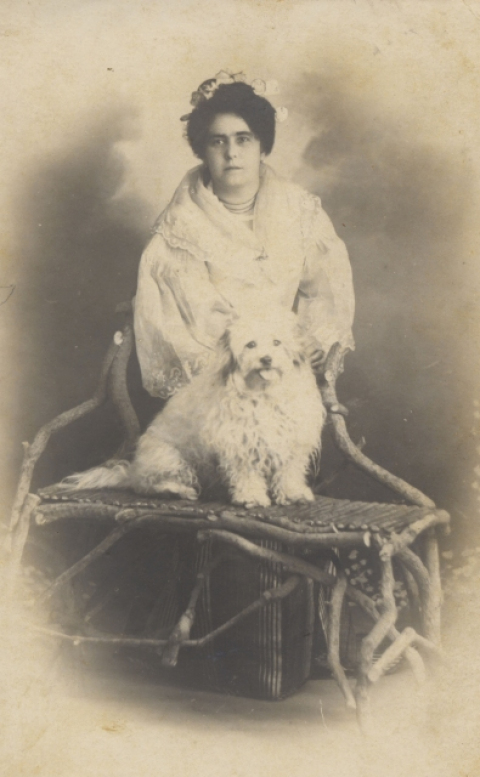 EL PERRO DE LA SEÑORA