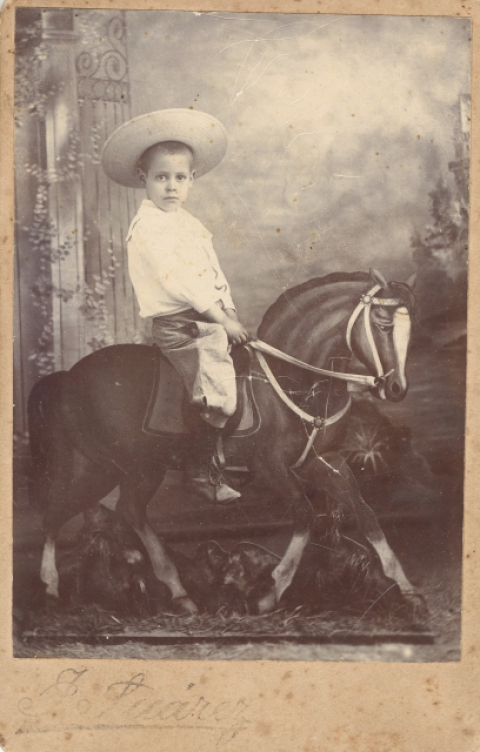 EL CABALLITO DE CARTÓN