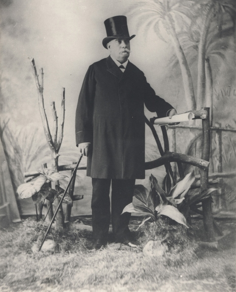 DR. CHIL Y NARANJO