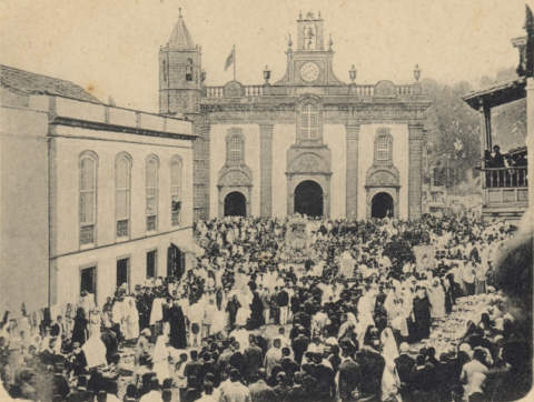 FIESTAS DEL PINO
