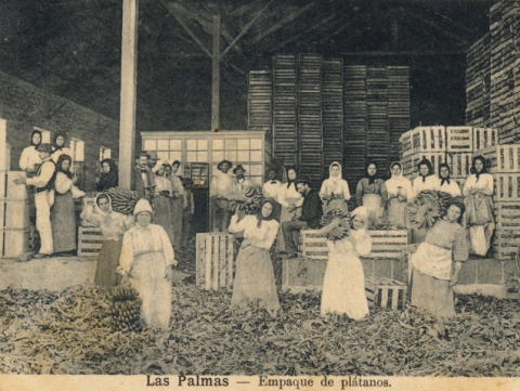 ALMACEN DE EMPAQUETADO DE PLÁTANOS