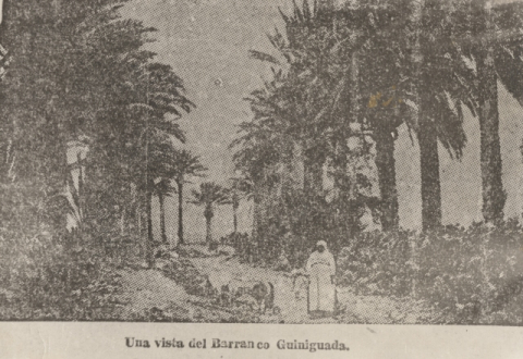 BARRANQUILLO DE SANTA CATALINA