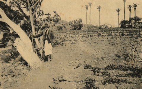 CAMPESINO CON MAGÜETAS, VESTIMENTA POPULAR
