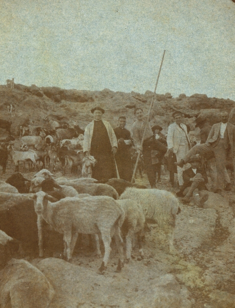 EL CURA,  EL  REBAÑO Y EL PERRO EN LO ALTO