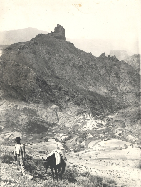 EL MARCHANTE DE TEJEDA