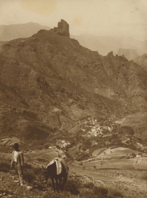 EL MARCHANTE DE TEJEDA