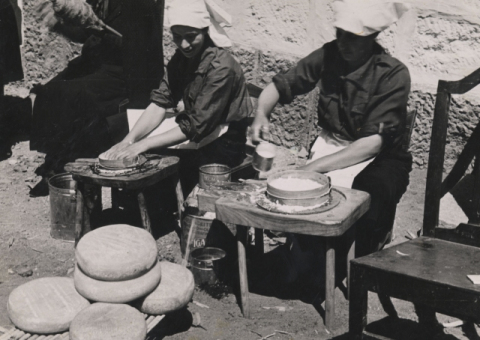 HACIENDO QUESO