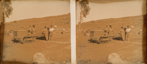 LA APISONADORA