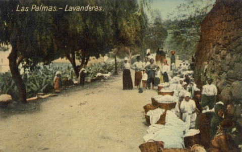 LAVANDERAS EN LA CARRETERA DEL ÁRBOL BONITO