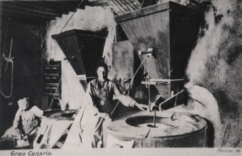 MOLINO DE GOFIO