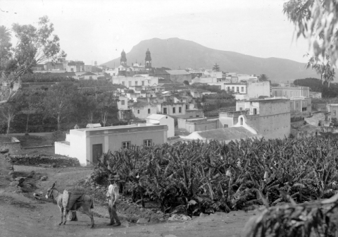 PANIORÁMICA DE GUÍA
