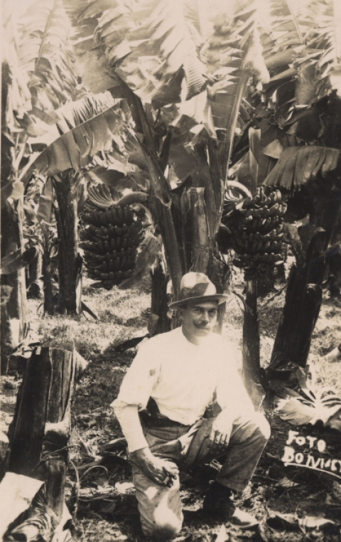 PLATANERAS Y CAMPESINO ACUCLILLADO