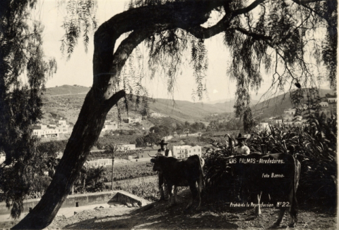 VISTA DE BARRANCO SECO DESDE SAN NICOLÁS. YUNTA