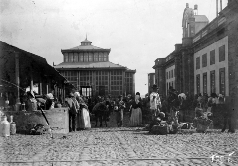 TINGLADOS DEL MERCADO DE VEGUETA