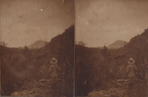 CAMINOS DE ARUCAS