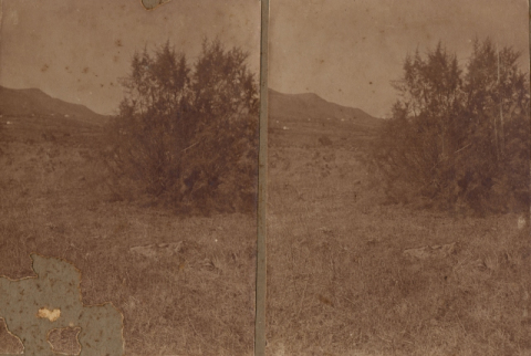 CAMPIÑAS