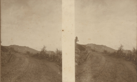 CARRETERA DEL INTERIOR DE LA ISLA
