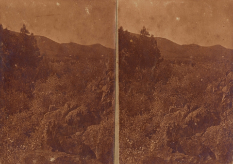 PAISAJE DEL INTERIOR
