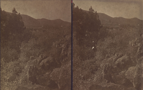 PAISAJE DEL INTERIOR