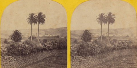 PANORÁMICA DE GUÍA.