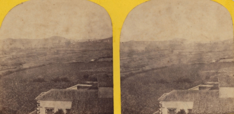 PLATANERAS DE LA VEGA