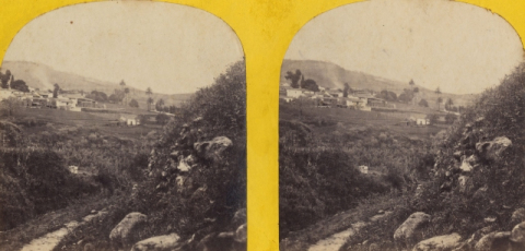 TEROR