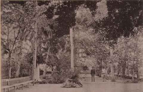 EL PARQUE