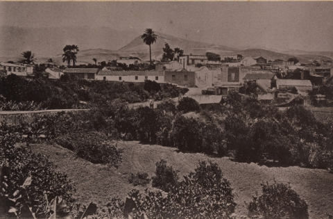PALMERAS Y CASERÍO