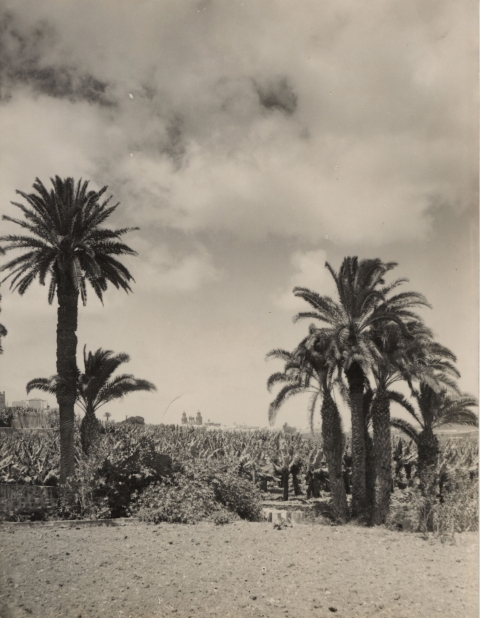 VEGA DE SAN JOSÉ