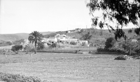 CAMPOS EN BARBECHO