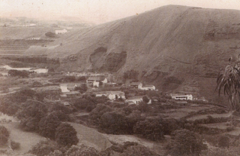 LA LECHUCILLA