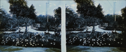 JARDÍNES DE LA MARQUESA