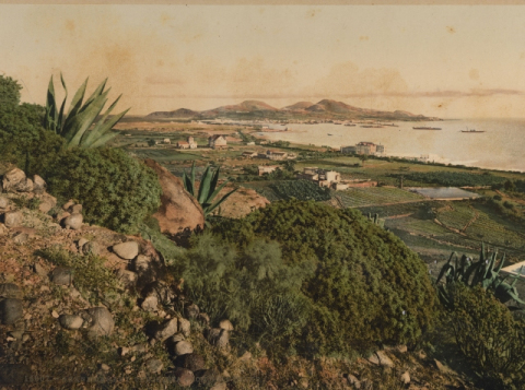 FINCAS DE CIUDAD JARDÍN Y LA ISLETA
