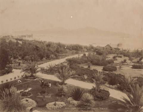 JARDINES DEL HOTEL SANTA CATALINA