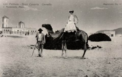 LA SEÑORA Y EL CAMELLERO DEL PUERTO