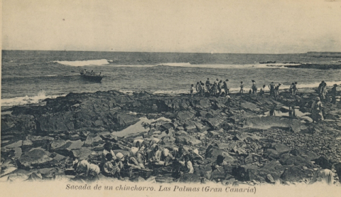 LLEGANDO A TIERRA EN LA PLAYA DE SAN CRISTÓBAL