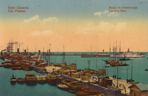 MUELLE SANTA CATALINA