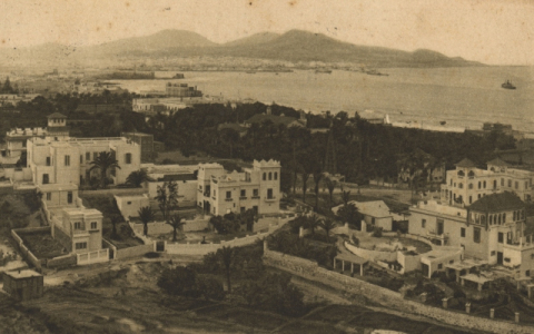 PANORÁMICA DE LAS PALMAS VISTA DE CIUDAD JARDÍN CON PUERTO AL FONDO