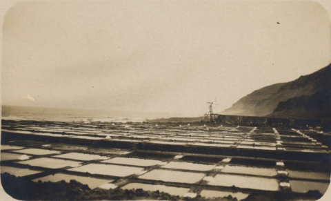 SALINAS DE EL CONFITAL