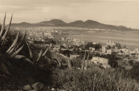 VISTA DE CIUDAD JARDÍN Y EL PUERTO