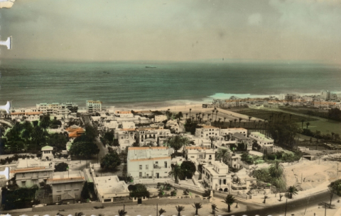 VISTA DE CIUDAD JARDÍN