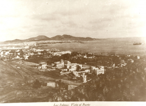 VISTA DE LAS PALMAS Y EL PUERTO