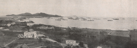 VISTA DE LAS PALMAS Y EL PUERTO