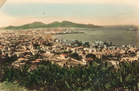 VISTA DE LAS PALMAS