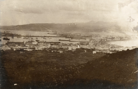 VISTA DEL PUERTO Y LAS PALMAS