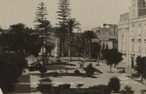 ALAMEDA DE COLÓN