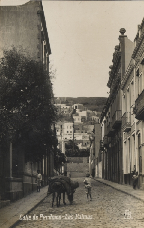 CALLE PERDOMO