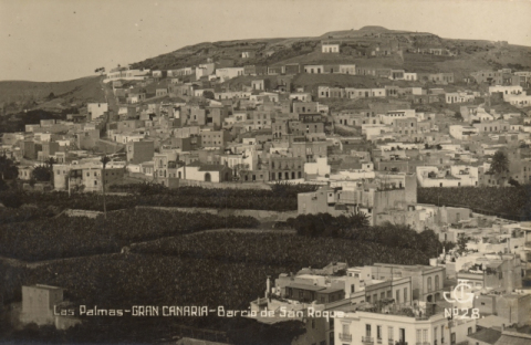 RISCO DE SAN NICOLÁS Y FINCAS DESDE LA CATEDRAL