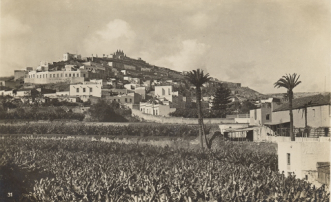 SAN ROQUE, CASA DE LOS PICOS Y FINCAS DEL PAMBASO